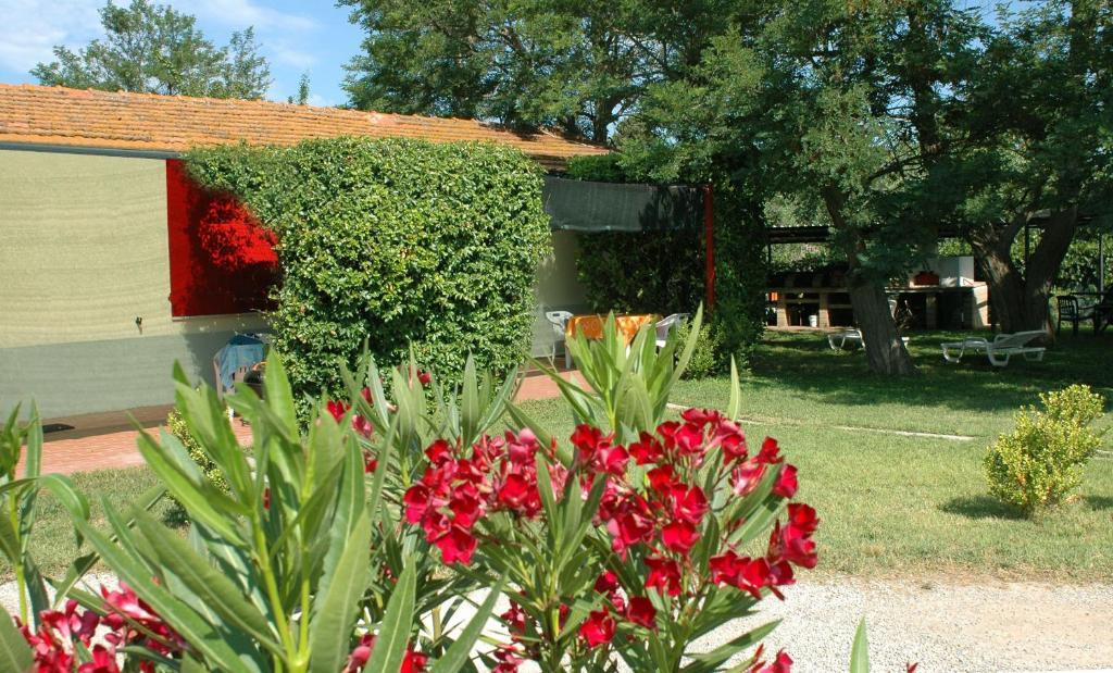 Casa Vacanze Guardamare ซานวินเชนโซ ห้อง รูปภาพ