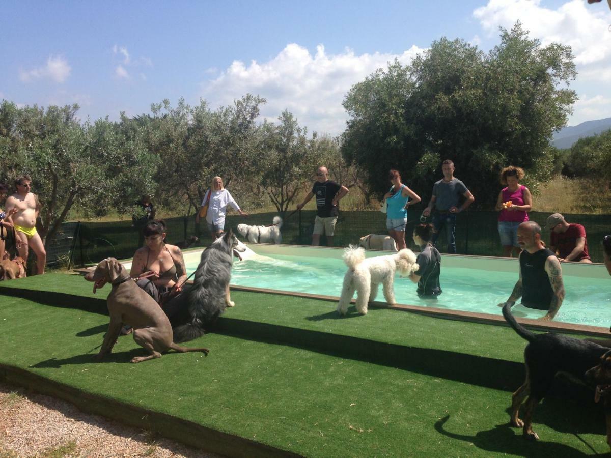 Casa Vacanze Guardamare ซานวินเชนโซ ภายนอก รูปภาพ