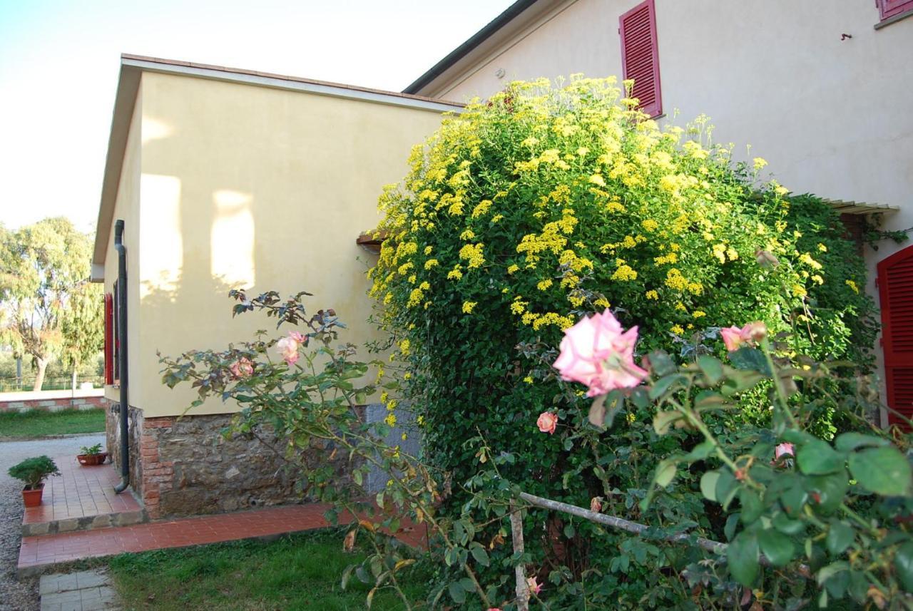 Casa Vacanze Guardamare ซานวินเชนโซ ภายนอก รูปภาพ